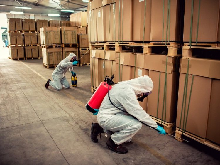 Pest control technicians at work